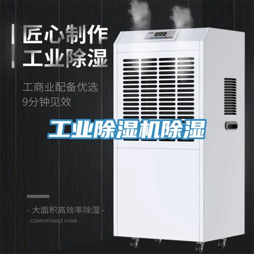 亚洲欧美一级特黄大片 工业除湿机除湿