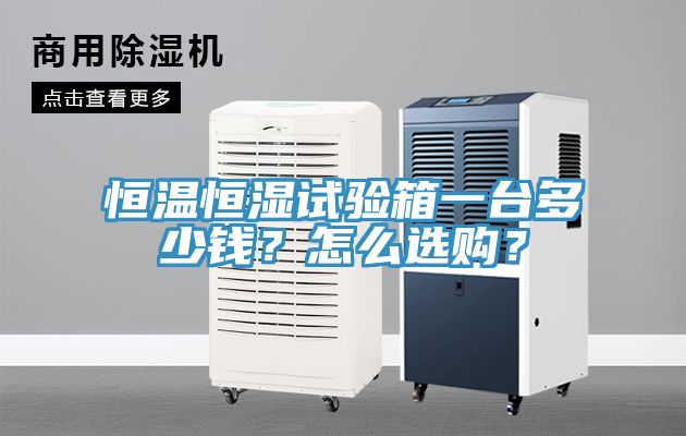 亚洲人成综合第一网站 恒温恒湿试验箱一台多少钱？怎么选购？