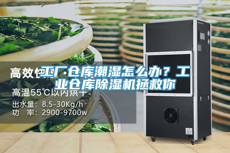 亚洲乱码一区二区三区 工厂仓库潮湿怎么办？工业仓库除湿机拯救你