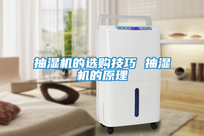 亚洲乱码一区二区三区 抽湿机的选购技巧 抽湿机的原理