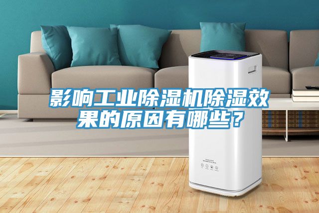 亚洲人成综合第一网站 影响工业除湿机除湿效果的原因有哪些？