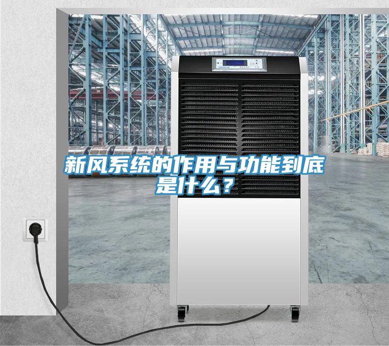 亚洲欧美一级特黄大片 新风系统的作用与功能到底是什么？