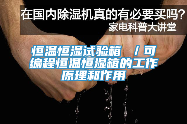 亚洲欧美一级特黄大片 恒温恒湿试验箱 ／可编程恒温恒湿箱的工作原理和作用