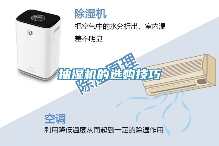 亚洲欧美一级特黄大片 抽湿机的选购技巧