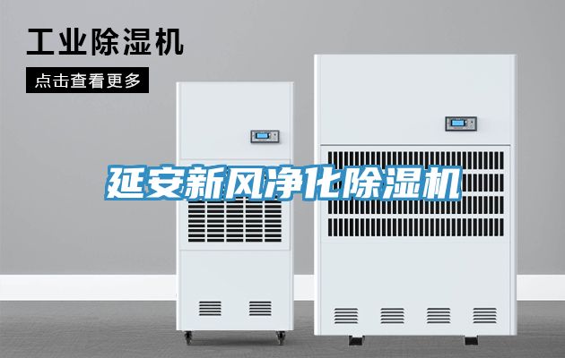 亚洲人成综合第一网站 延安新风净化除湿机