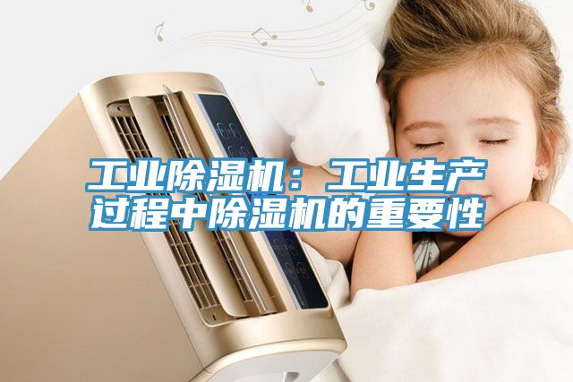 亚洲欧美一级特黄大片 工业除湿机：工业生产过程中除湿机的重要性