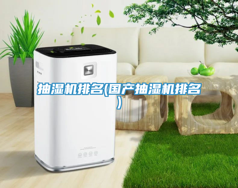亚洲人成综合第一网站 抽湿机排名(国产抽湿机排名)