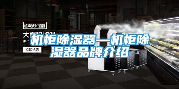 亚洲欧美一级特黄大片 机柜除湿器—机柜除湿器品牌介绍