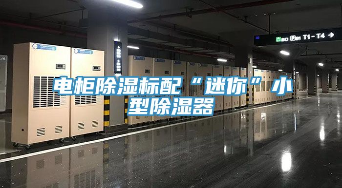 亚洲欧美一级特黄大片 电柜除湿标配“迷你”小型除湿器