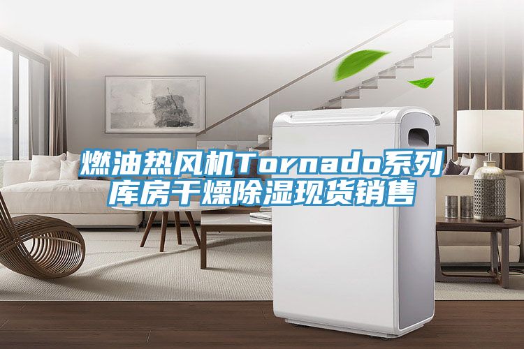 亚洲人成综合第一网站 燃油热风机Tornado系列库房干燥除湿现货销售