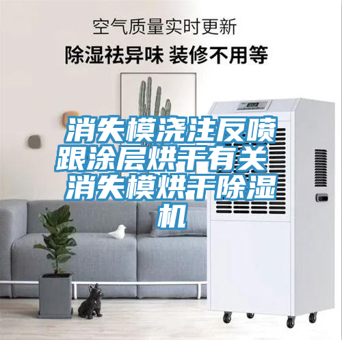 亚洲人成综合第一网站 消失模浇注反喷跟涂层烘干有关 消失模烘干除湿机