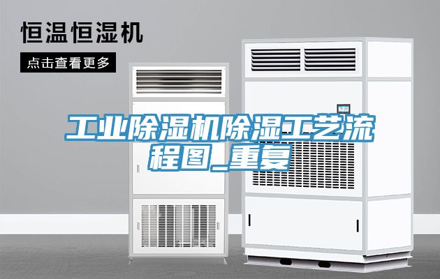 亚洲欧美一级特黄大片 工业除湿机除湿工艺流程图_重复