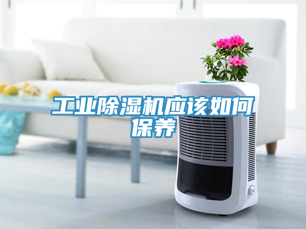 亚洲人成综合第一网站 工业除湿机应该如何保养