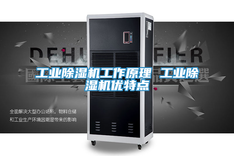 亚洲人成综合第一网站 工业除湿机工作原理 工业除湿机优特点