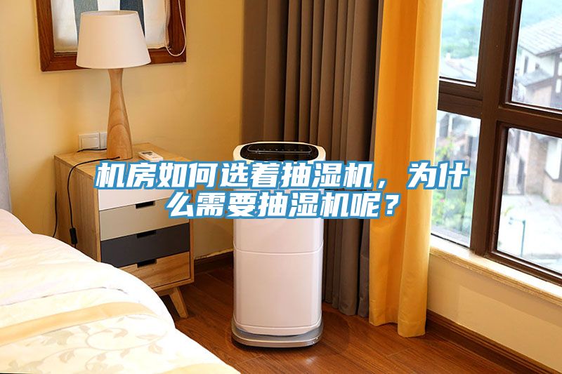 亚洲人成综合第一网站 机房如何选着抽湿机，为什么需要抽湿机呢？