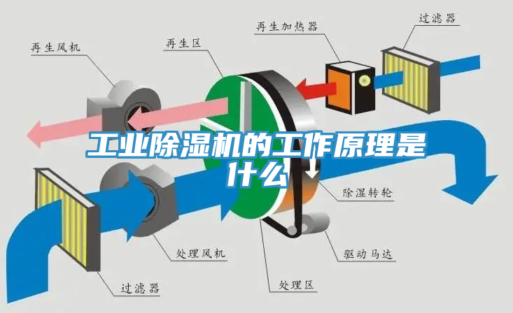 亚洲人成综合第一网站 工业除湿机的工作原理是什么