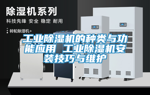 亚洲欧美一级特黄大片 工业除湿机的种类与功能应用 工业除湿机安装技巧与维护
