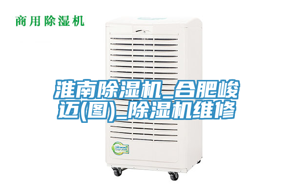 亚洲欧美一级特黄大片 淮南除湿机_合肥峻迈(图)_除湿机维修
