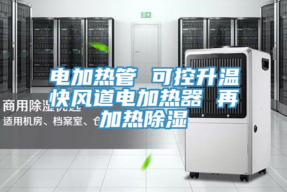亚洲欧美一级特黄大片 电加热管 可控升温快风道电加热器 再加热除湿