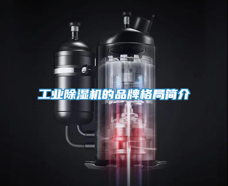 亚洲人成综合第一网站 工业除湿机的品牌格局简介