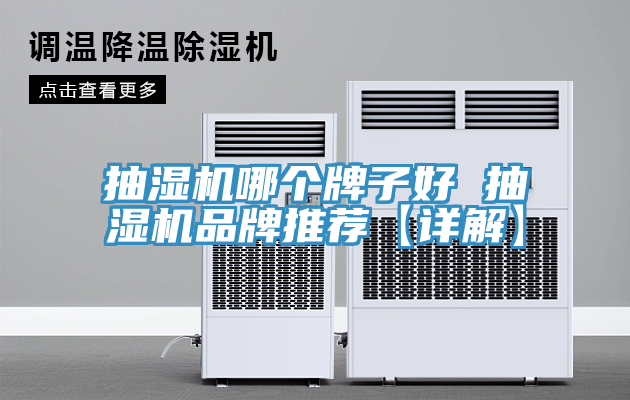 亚洲乱码一区二区三区 抽湿机哪个牌子好 抽湿机品牌推荐【详解】