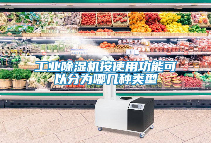 亚洲欧美一级特黄大片 工业除湿机按使用功能可以分为哪几种类型