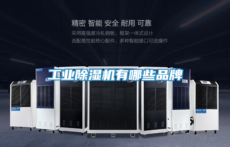 亚洲欧美一级特黄大片 工业除湿机有哪些品牌