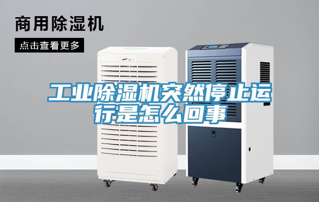 亚洲人成综合第一网站 工业除湿机突然停止运行是怎么回事