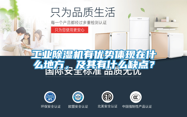 亚洲乱码一区二区三区 工业除湿机有优势体现在什么地方，及其有什么缺点？