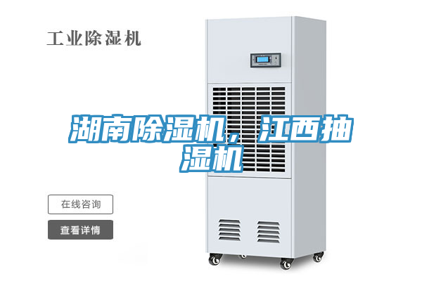 亚洲人成综合第一网站 湖南除湿机，江西抽湿机