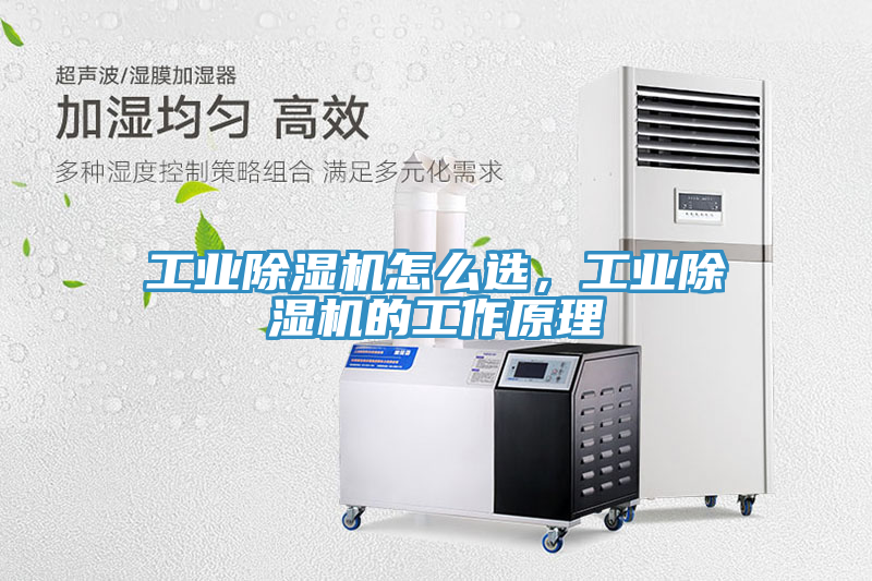 亚洲人成综合第一网站 工业除湿机怎么选，工业除湿机的工作原理