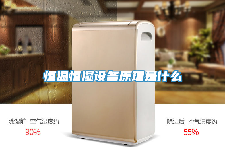 亚洲欧美一级特黄大片 恒温恒湿设备原理是什么