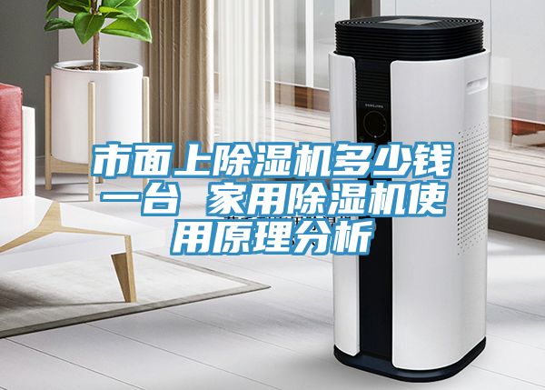 亚洲欧美一级特黄大片 市面上除湿机多少钱一台 家用除湿机使用原理分析