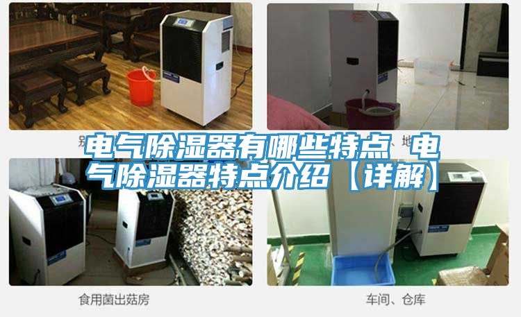 亚洲人成综合第一网站 电气除湿器有哪些特点 电气除湿器特点介绍【详解】