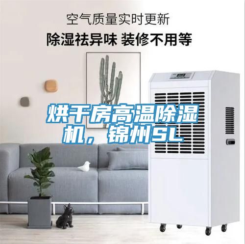 亚洲人成综合第一网站 烘干房高温除湿机，锦州SL