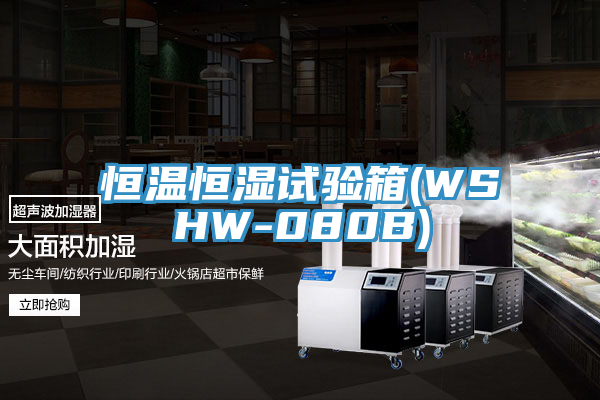 亚洲乱码一区二区三区 恒温恒湿试验箱(WSHW-080B)
