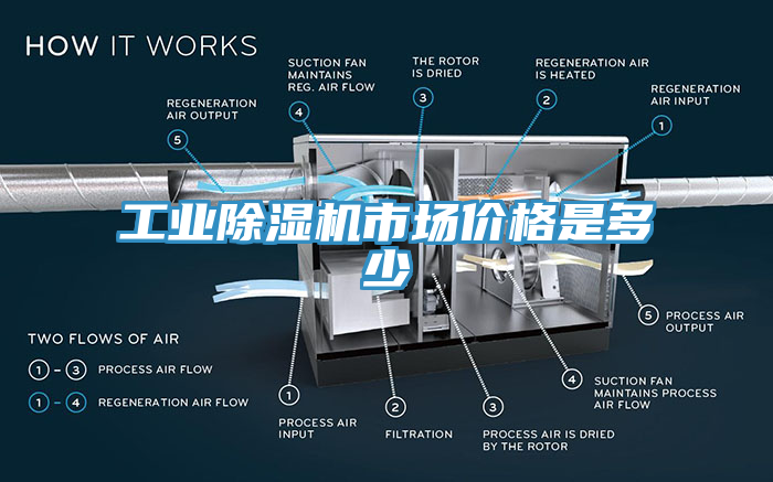 亚洲人成综合第一网站 工业除湿机市场价格是多少