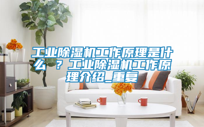 亚洲乱码一区二区三区 工业除湿机工作原理是什么 ？工业除湿机工作原理介绍_重复