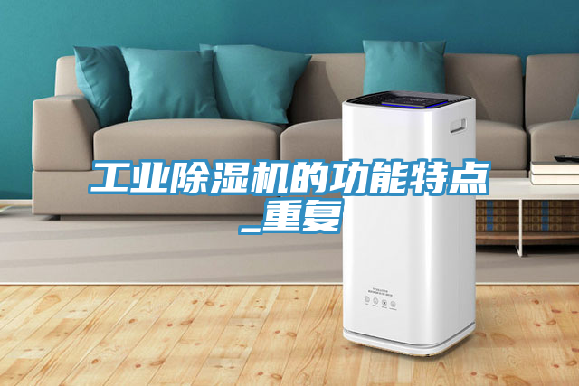 亚洲乱码一区二区三区 工业除湿机的功能特点_重复