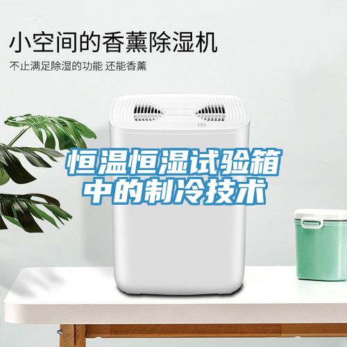 亚洲乱码一区二区三区 恒温恒湿试验箱中的制冷技术