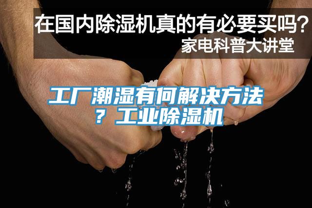 亚洲欧美一级特黄大片 工厂潮湿有何解决方法？工业除湿机