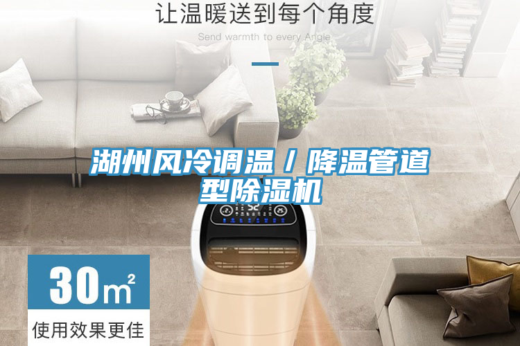 亚洲欧美一级特黄大片 湖州风冷调温／降温管道型除湿机