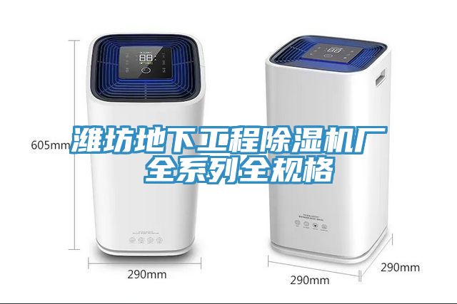 亚洲人成综合第一网站 潍坊地下工程除湿机厂 全系列全规格