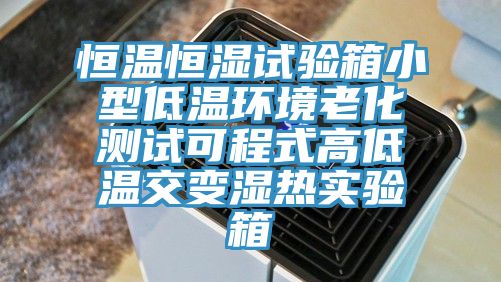 亚洲人成综合第一网站 恒温恒湿试验箱小型低温环境老化测试可程式高低温交变湿热实验箱