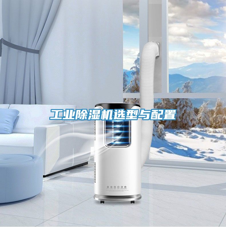 亚洲欧美一级特黄大片 工业除湿机选型与配置