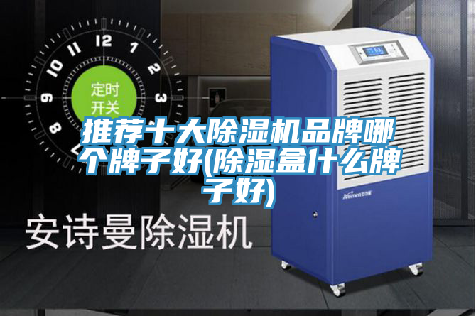 亚洲乱码一区二区三区 推荐十大除湿机品牌哪个牌子好(除湿盒什么牌子好)