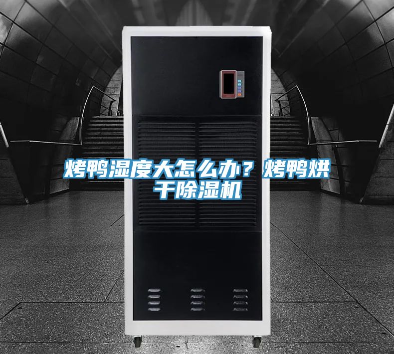亚洲人成综合第一网站 烤鸭湿度大怎么办？烤鸭烘干除湿机