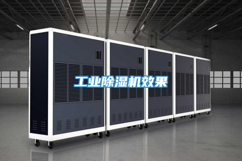 亚洲欧美一级特黄大片 工业除湿机效果