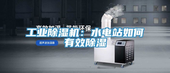 亚洲欧美一级特黄大片 工业除湿机：水电站如何有效除湿