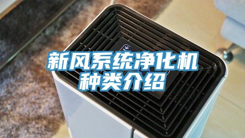 亚洲人成综合第一网站 新风系统净化机种类介绍